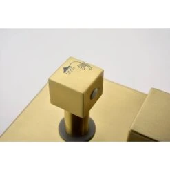 1-Spray Patterns Shower Head With Dual Wall Mount 1.5 GPM In Brushed Gold 9 1-Spray Patterns Shower Head With Dual Wall Mount 1.5 GPM In Brushed Gold -Tahanbath brushed gold tahanbath dual shower heads y w928115309 1f 1000