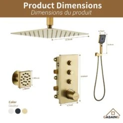 3-Spray Patterns Ceiling Mount Dual Handheld Shower Head 1.8 GPM In Brushed Gold -Tahanbath brushed gold tahanbath dual shower heads z 102009lk 3 fa 1000