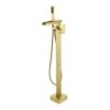Single-Handle 2-Spray Freestanding Rectangle Handheld Shower Head 2.5 GPM In Brushed Gold