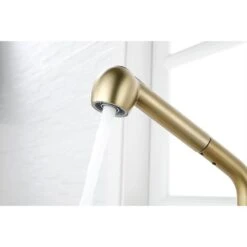 Single Handle Kitchen Sink Faucet With Pull Out Sprayer In Brushed Gold -Tahanbath brushed gold tahanbath pull out kitchen faucets y w2287 p154031 31 1000