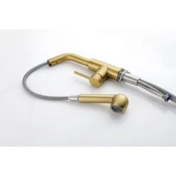 Single Handle Kitchen Sink Faucet With Pull Out Sprayer In Brushed Gold -Tahanbath brushed gold tahanbath pull out kitchen faucets y w2287 p154031 44 1000