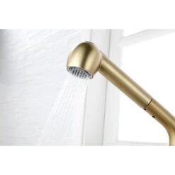 Single Handle Kitchen Sink Faucet With Pull Out Sprayer In Brushed Gold -Tahanbath brushed gold tahanbath pull out kitchen faucets y w2287 p154031 76 1000