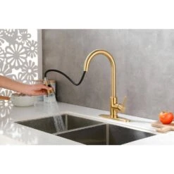 Single Handle Pull Out Sprayer Kitchen Faucet Deckplate Included InBrushed Gold -Tahanbath brushed gold tahanbath pull out kitchen faucets z w928100989 31 1000
