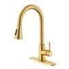 Single Handle Pull Out Sprayer Kitchen Faucet Deckplate Included InBrushed Gold
