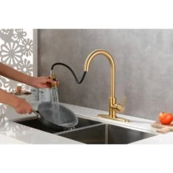 Single Handle Pull Out Sprayer Kitchen Faucet Deckplate Included InBrushed Gold -Tahanbath brushed gold tahanbath pull out kitchen faucets z w928100989 fa 1000