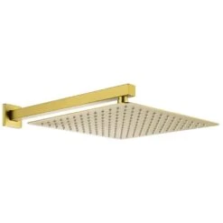 2-Spray Patterns With 0 In. 2.5 GPM In Ceiling Mount Fixed Shower Head In Gold