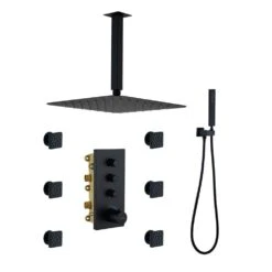 1-Spray Patterns Ceiling Mount Handheld Shower Head Dual 1.8 GPM In Matte Black