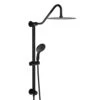 5-spray 10 In. Ceiling Mount 1.8 GPM Dual Shower Head And Handheld Shower Head In Matte Black