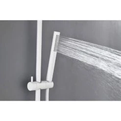 1-Spray Wall Mount Handheld Shower Head 1.8 GPM In White -Tahanbath white tahanbath handheld shower heads z w2287p282324 c3 1000